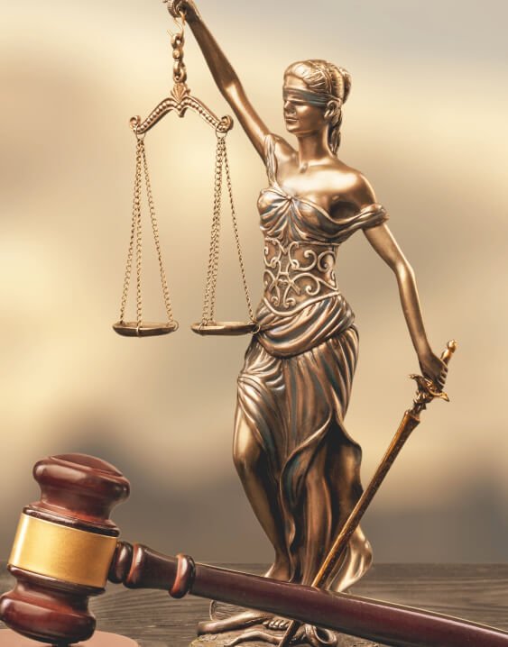 Gulshad Ali & Associate — advocate at work